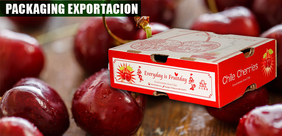 Exportación